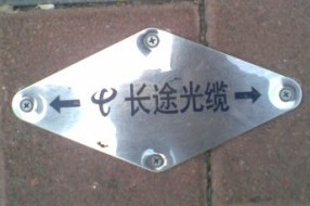 PL;|(bio)־